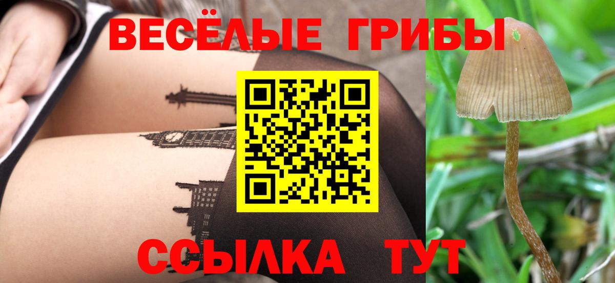 Псилоцибиновые грибы прущие грибы  Вход с VPN  Великий Новгород 
